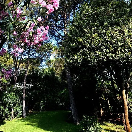 Hotell Punta Molino & 5*