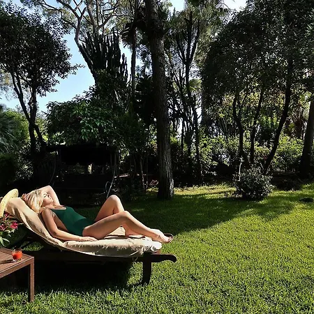 Punta Molino & Hotell